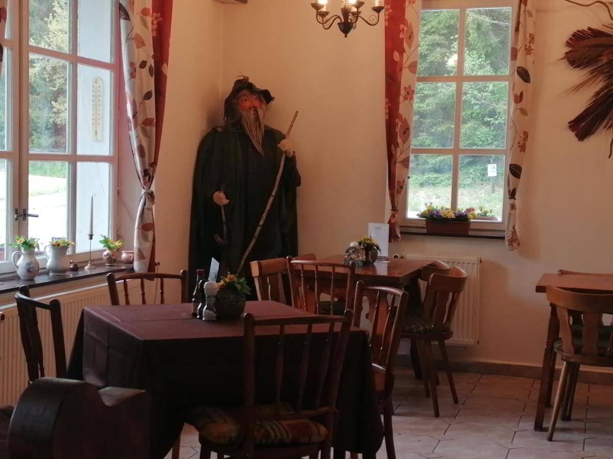 Hotel Hotylek Na Myte Harrachov Esterno foto