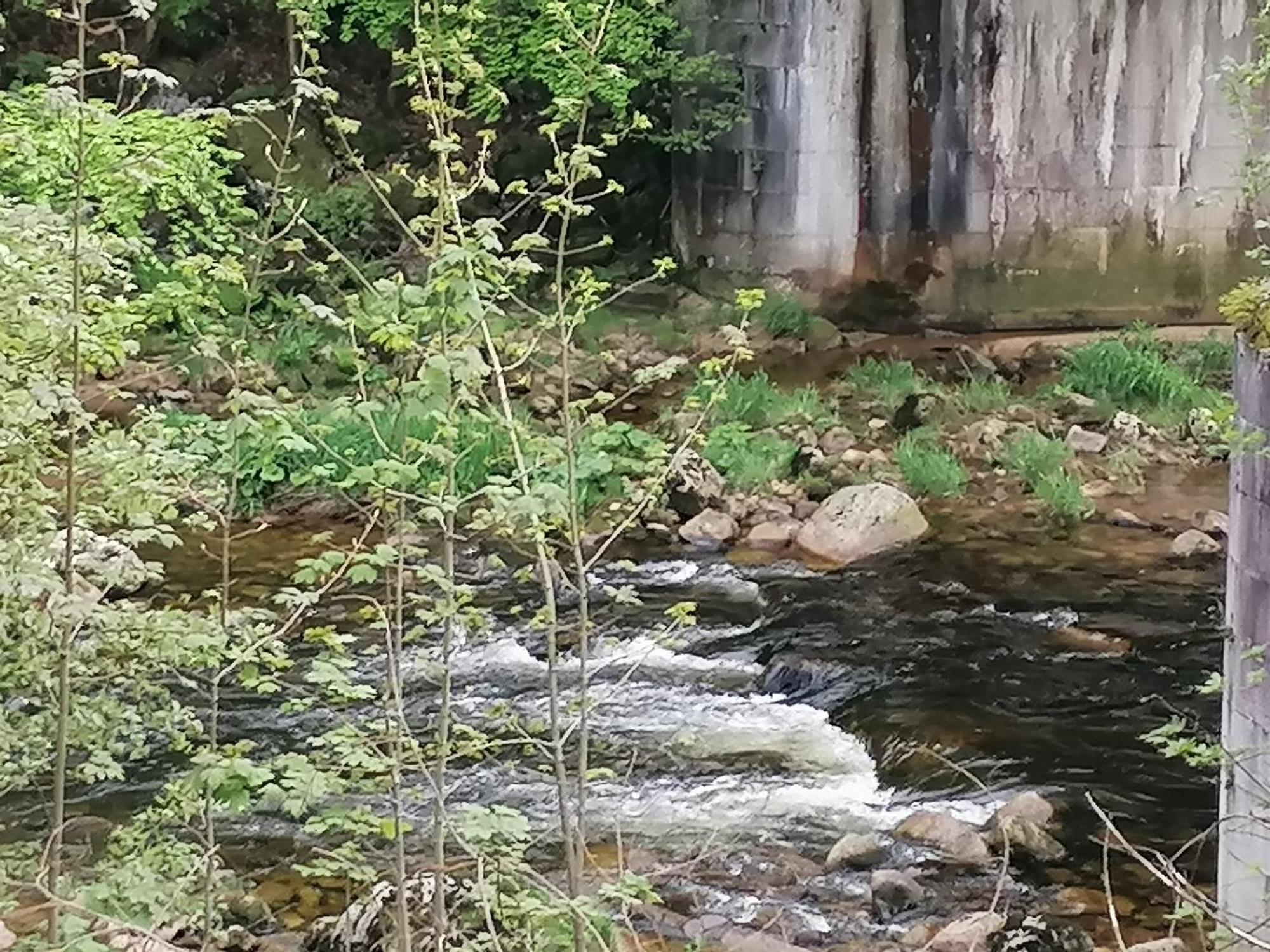 Hotel Hotylek Na Myte Harrachov Esterno foto